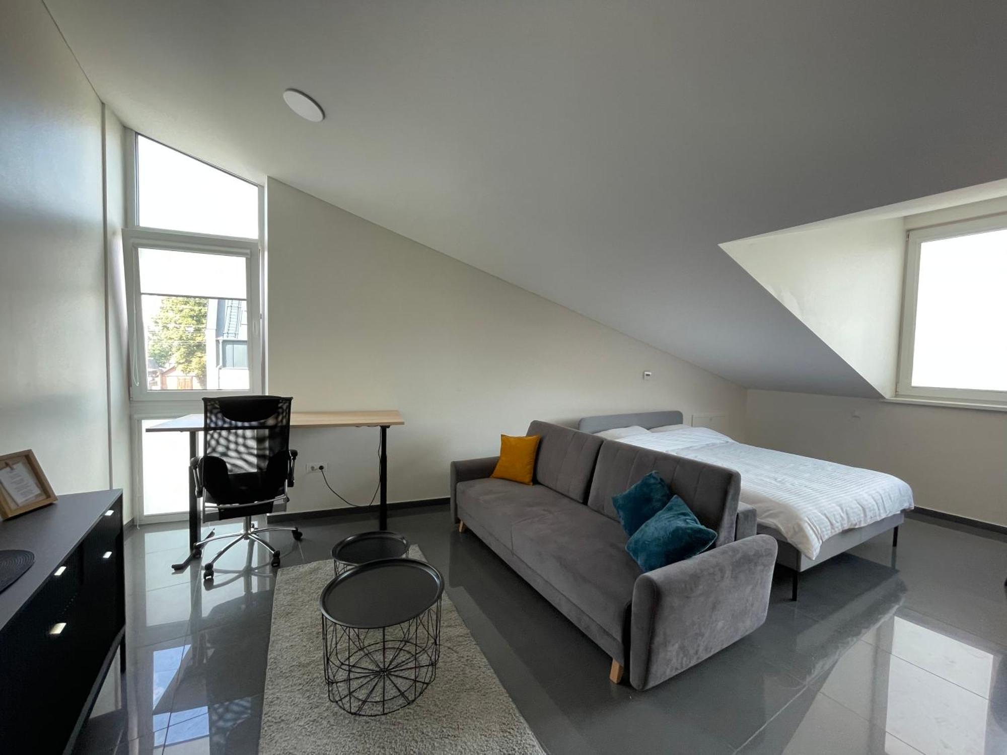 Apartment Krantine - Self Check In 考纳斯 外观 照片